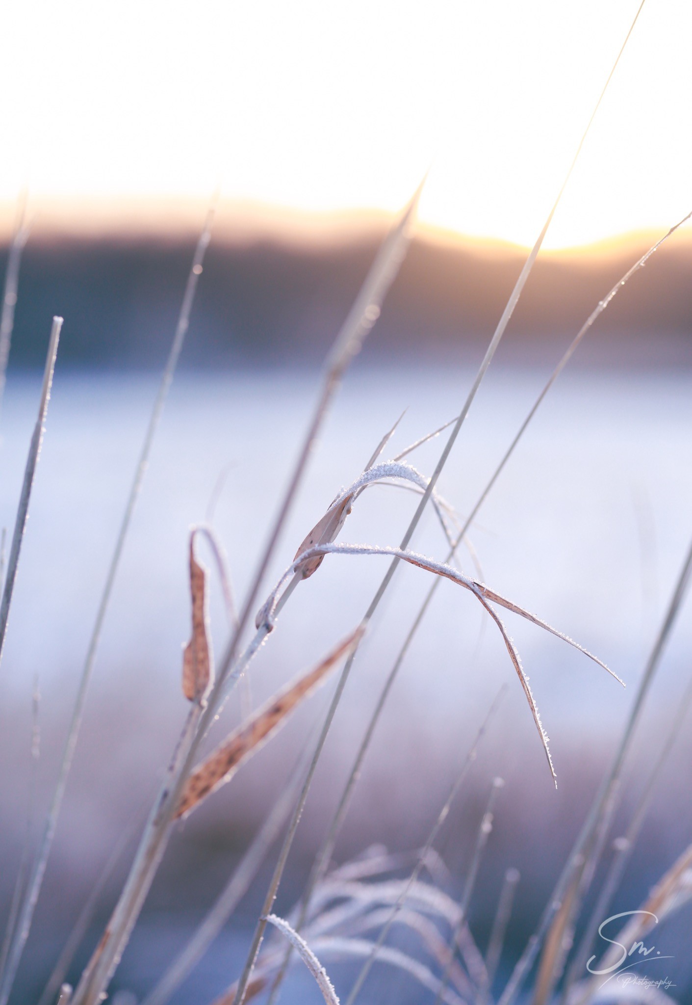 Naturmotiv